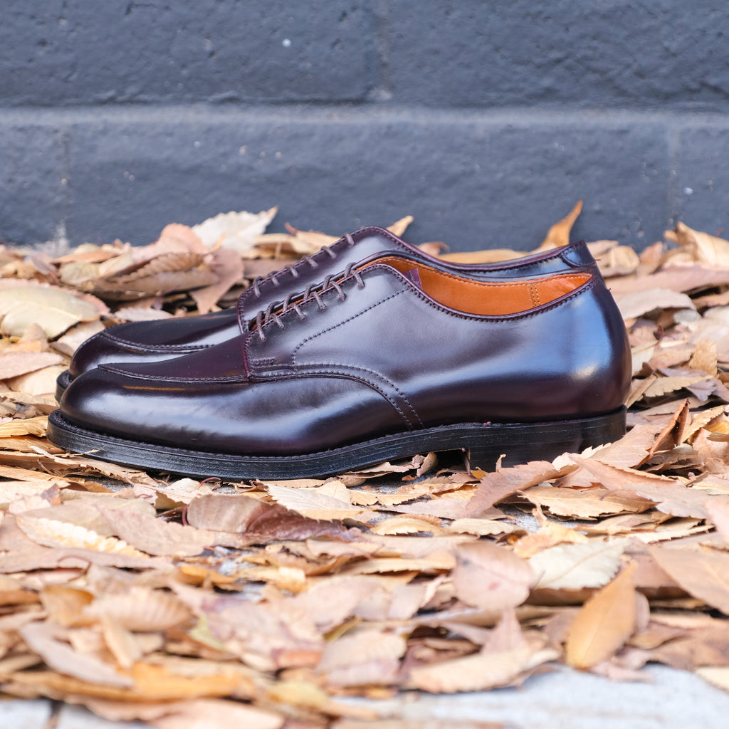 Alden x Brogue Kimura Algonquin Blucher (#8 Shell)