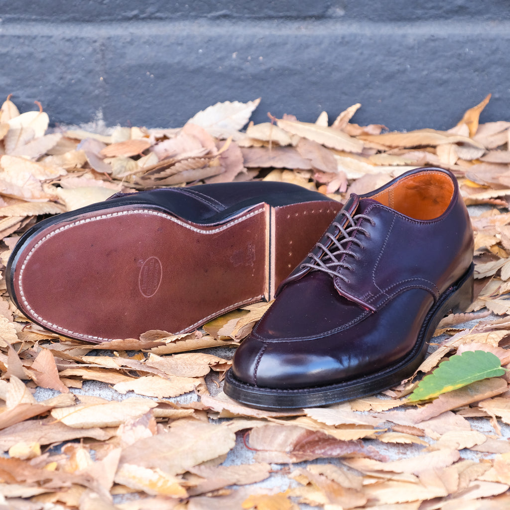 Alden x Brogue Kimura Algonquin Blucher (#8 Shell)