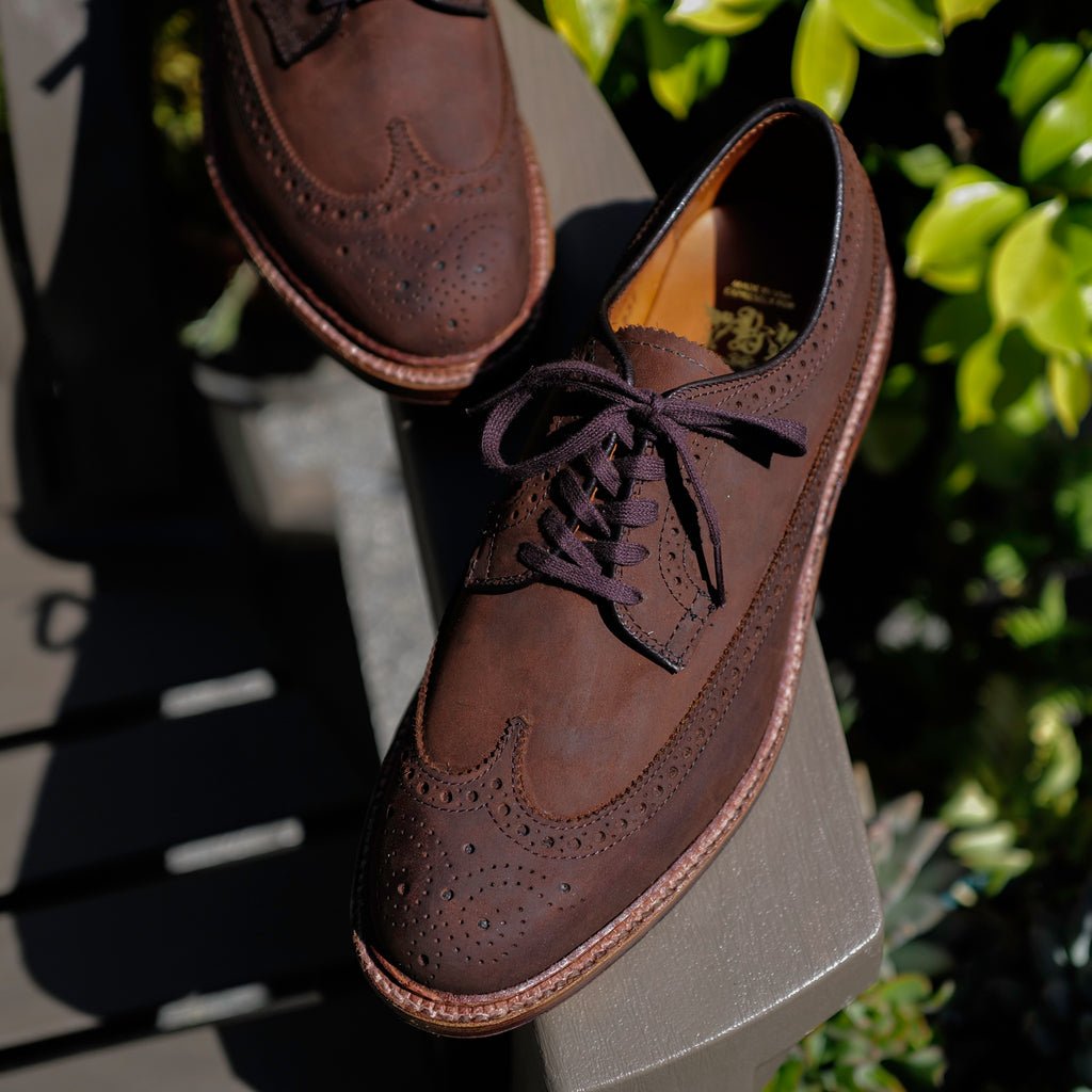 Alden x Brogue Liga Long Wing Blucher