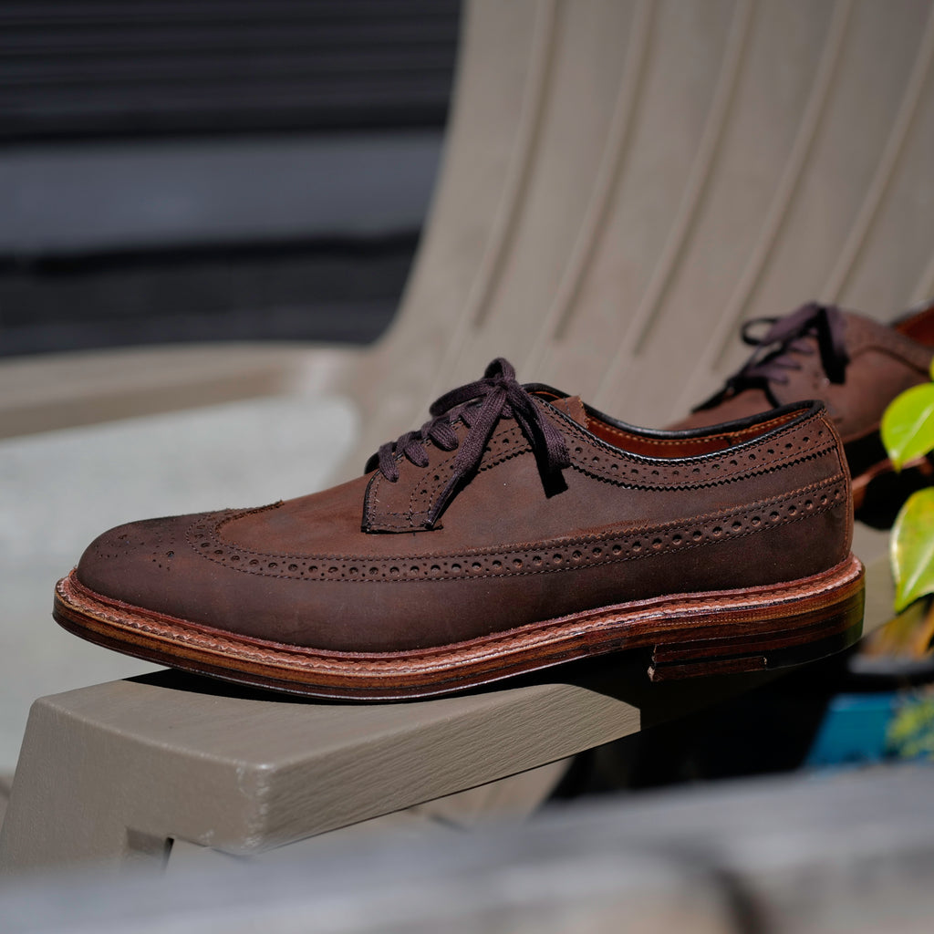 Alden x Brogue Liga Long Wing Blucher