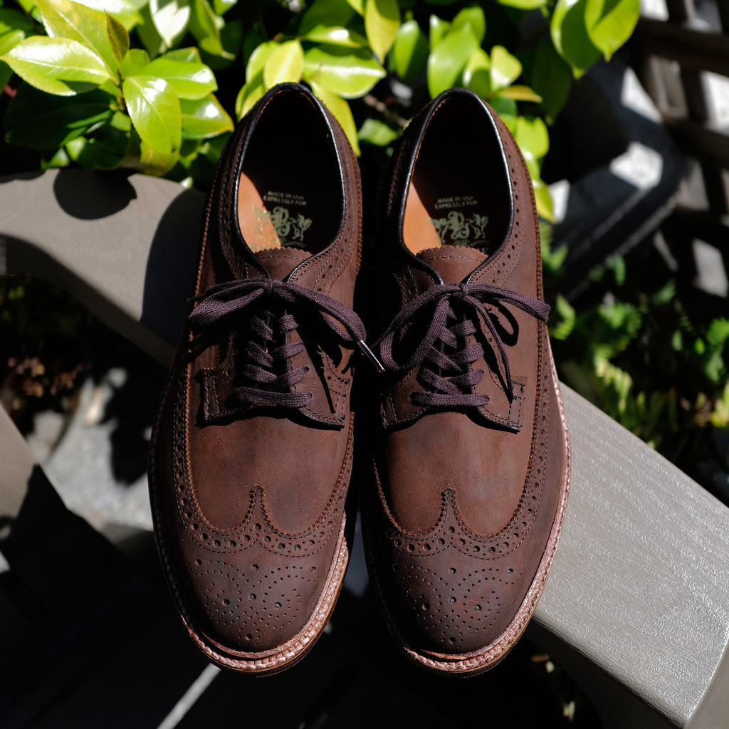 Alden x Brogue Liga Long Wing Blucher