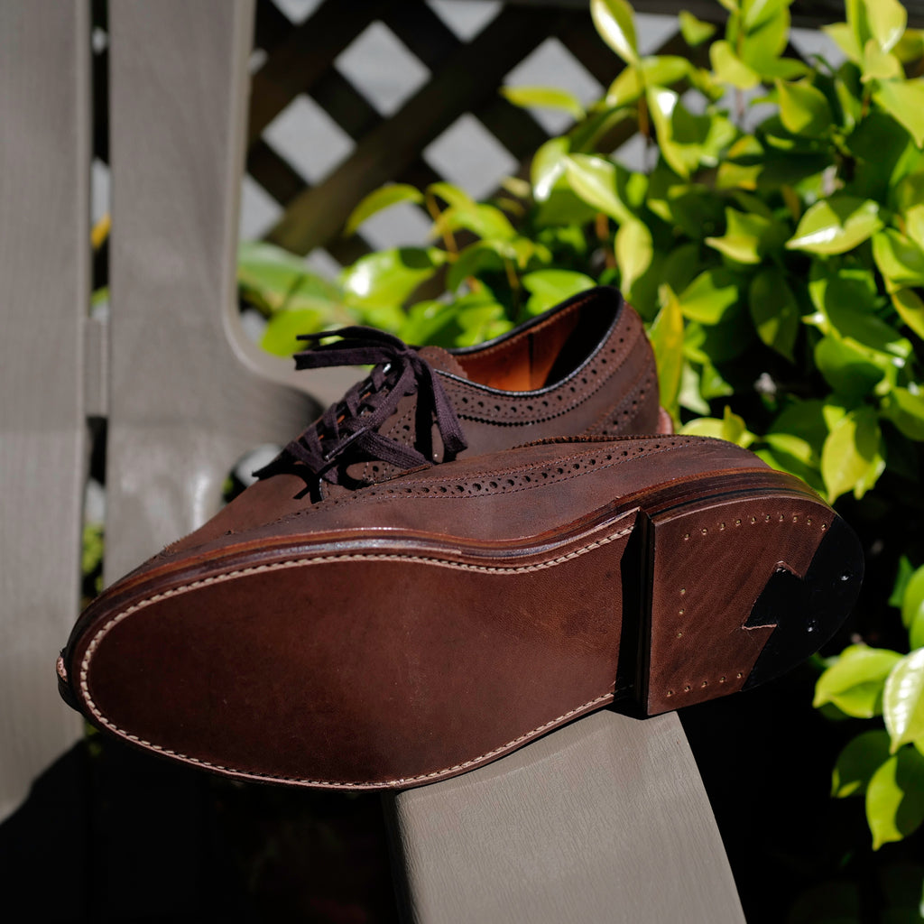 Alden x Brogue Liga Long Wing Blucher