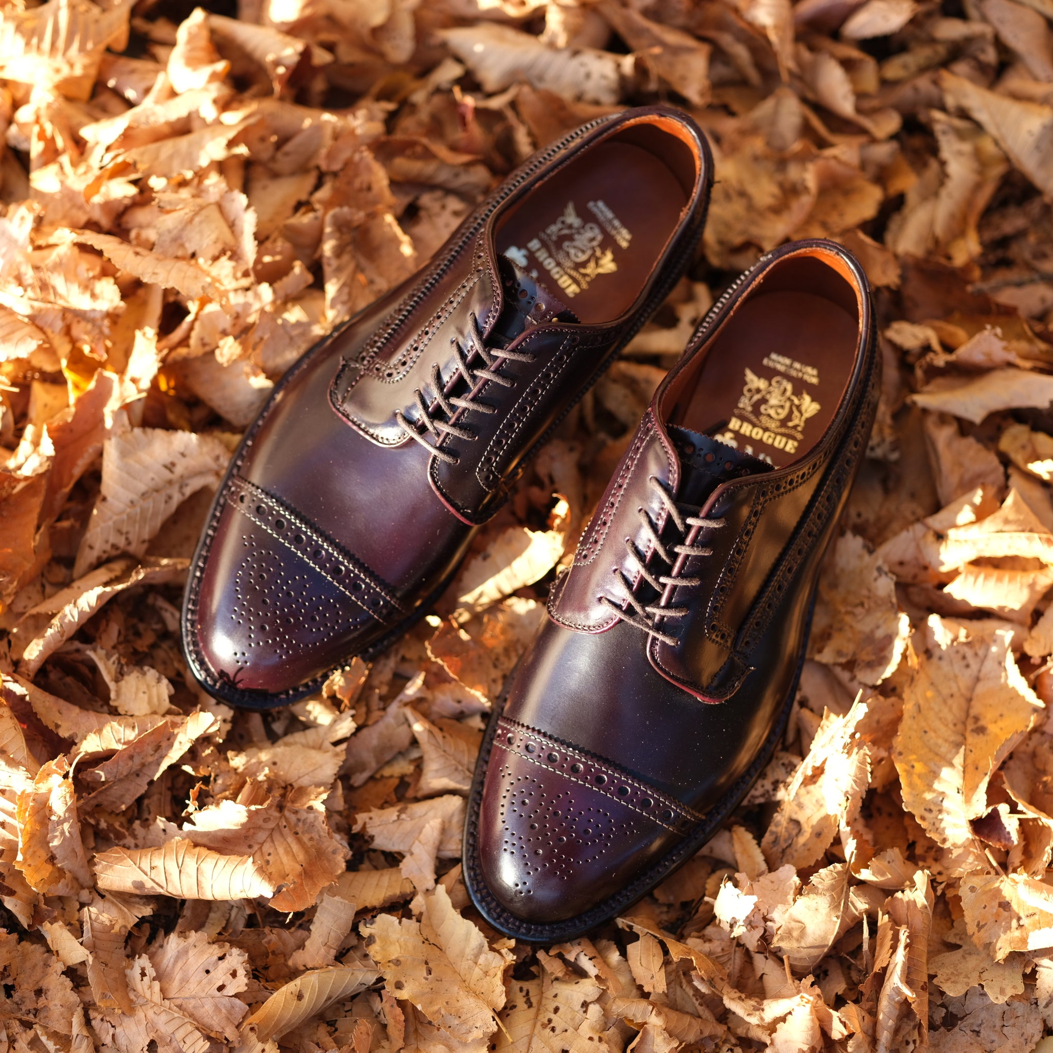 プレブリックTHOMAS-Horween Shell Cordova