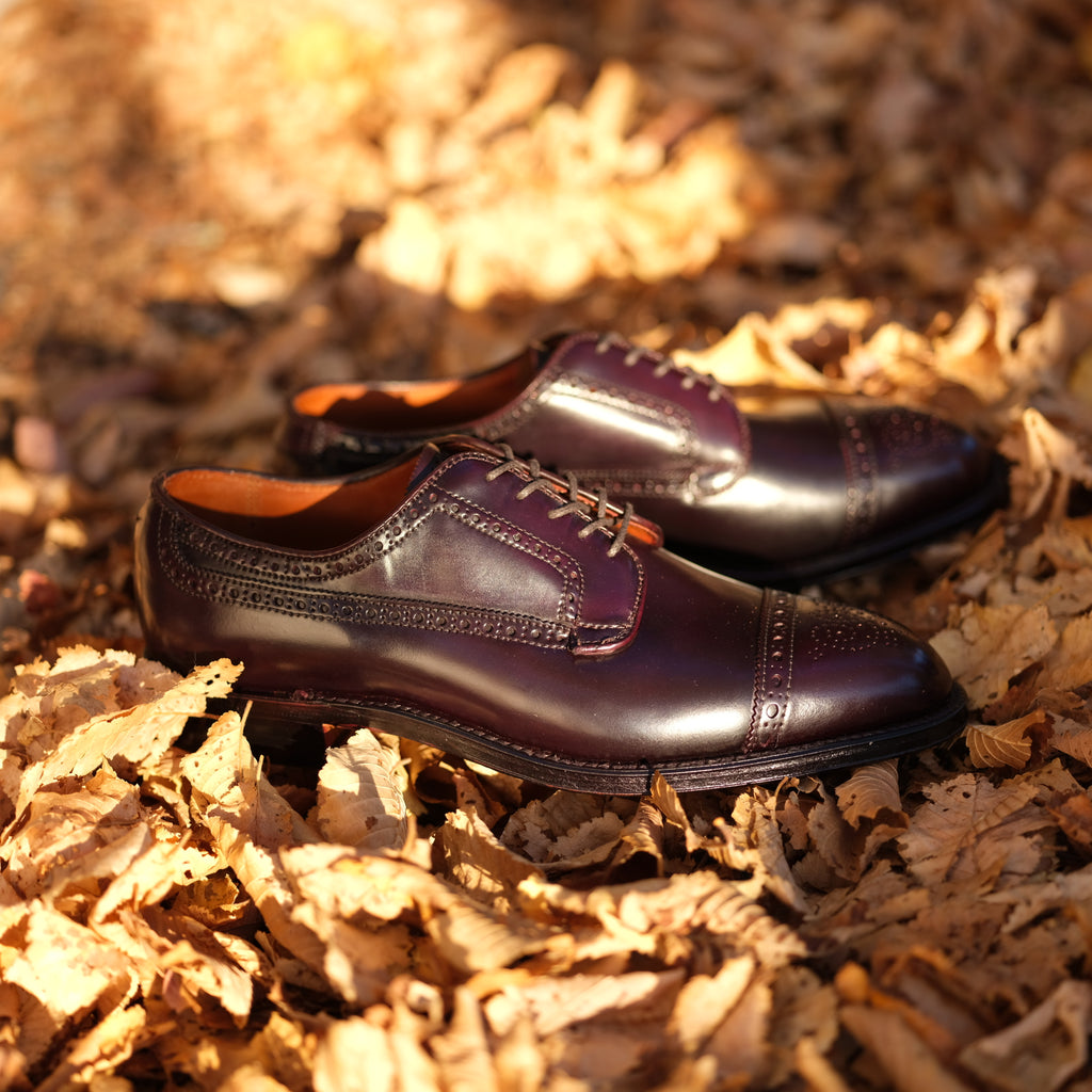 Alden x Brogue Atom Blucher