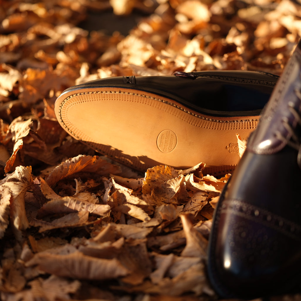 Alden x Brogue Atom Blucher