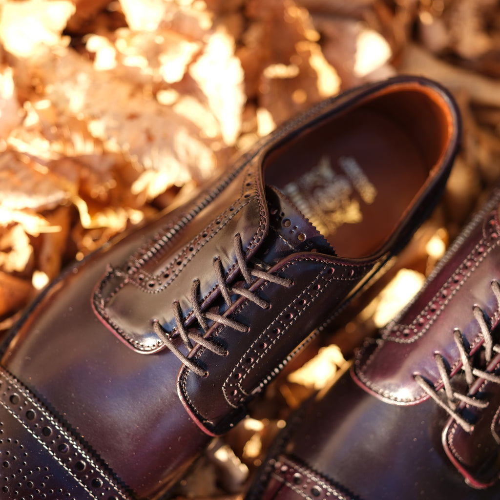 Alden x Brogue Atom Blucher